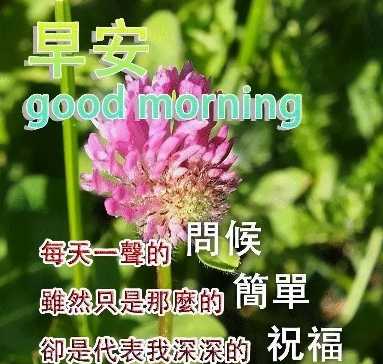非常漂亮的带字带祝福语早上好图片 朋友，祝你幸福，拥抱快乐心情图片
