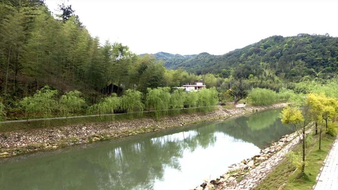 「全面推進鄉村振興」莒溪鎮小莒村：以“旅游+”打造鄉村振興新引擎