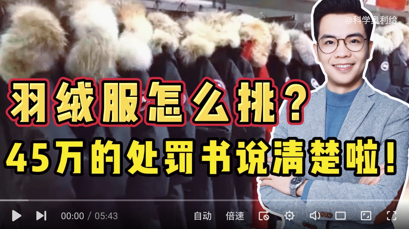 加拿大鹅因为处罚书上热搜，网友惊呼：简直是羽绒服购买指南