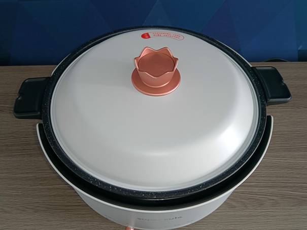 只用普通锅的价钱你能买到的是小萌马多功能的电火锅