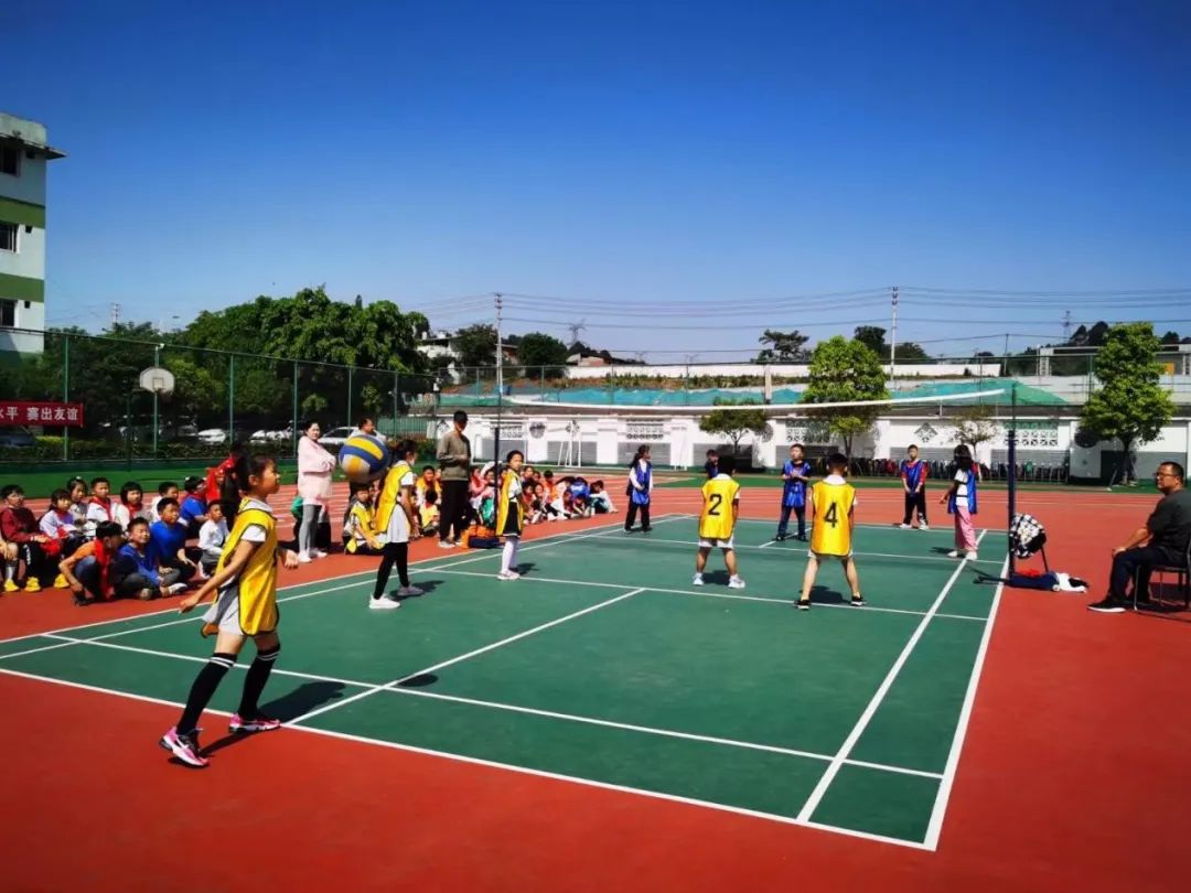 奋力拼搏展风采——天府新区煎茶小学校园排球赛拉开帷幕
