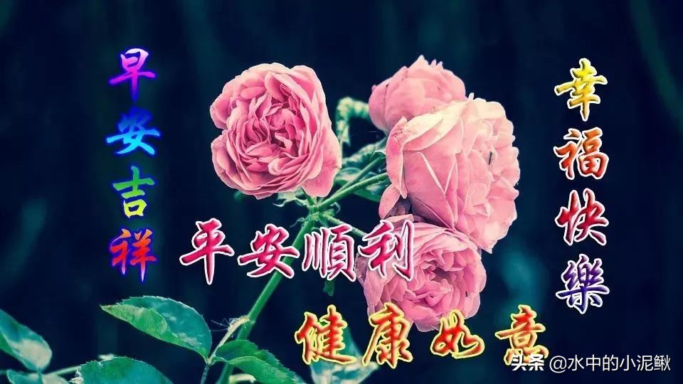 清晨最阳光的励志大全，早安励志心语微信朋友圈经典人生感悟