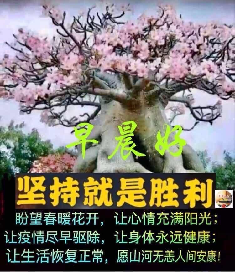 新的一周清早慰问大家早上好漂亮的表情图片，相识是缘，相知是情图片