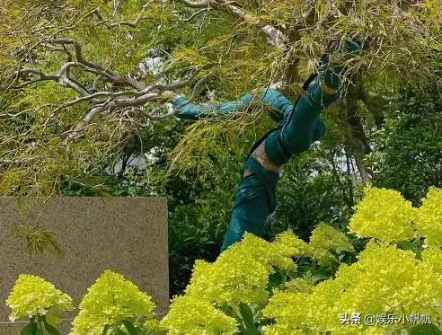 冉莹颖运动完的皮肤状态是真好！网友：图二没放大以为在树上劈叉