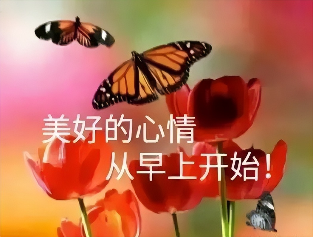 早上好祝福语图片 友谊是一种源泉 真挚的问候早晨好动图表情图片
