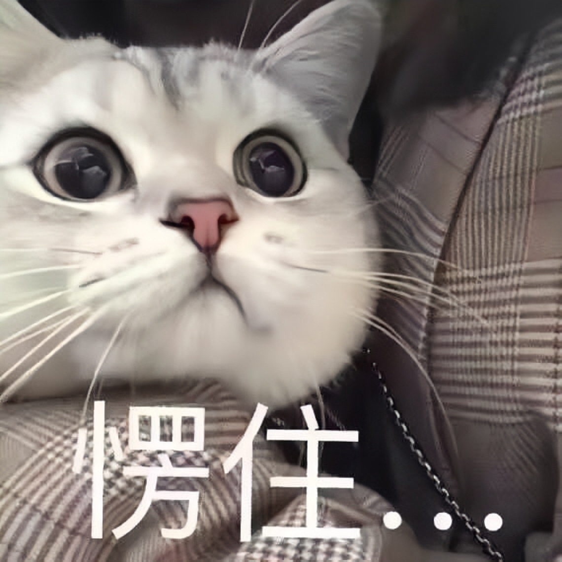 一顿饭4位数，第一次见面就给女方买千元包：现在相亲这么贵了？