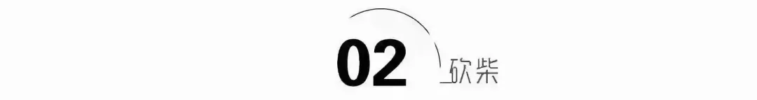获赞3亿,火遍全网的《只此青绿》,领舞到底什么来头?