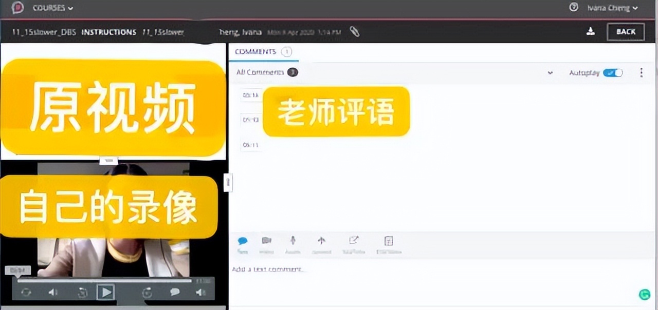 远程口译平台 Zoom 和 Zipdx 使用体验