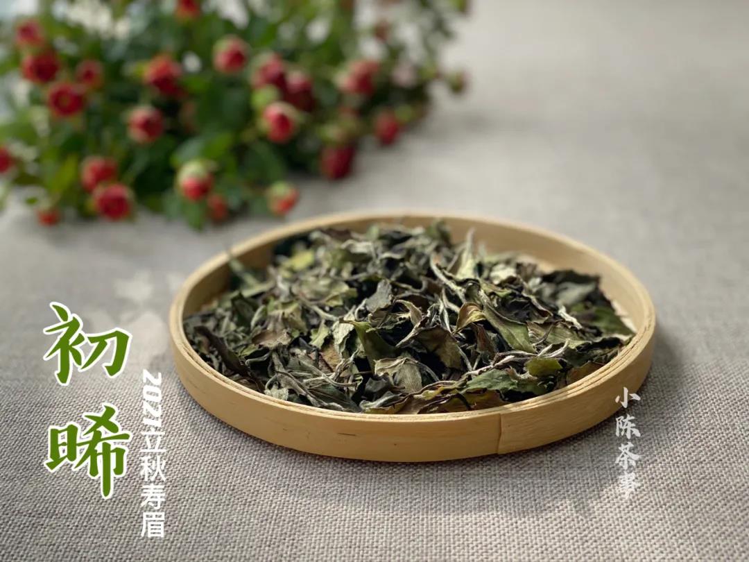 洗茶是浪费，还是衛生？老茶客搬出4个实例，好坏一次性说清