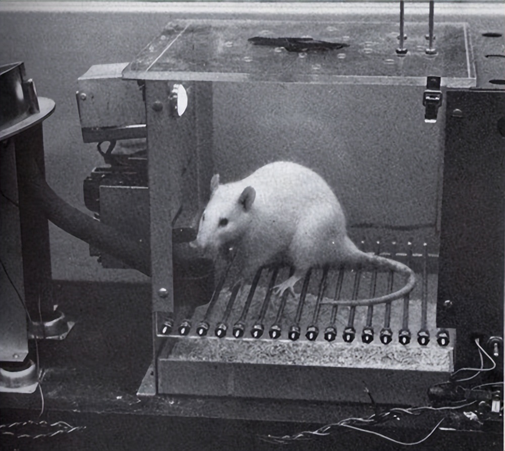 �п�Ժ����֤ʵ������������40%�����¸��ߣ�������