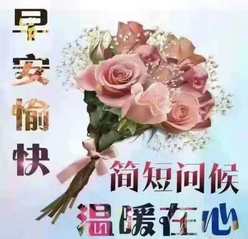 清晨早上好祝福图片 早安问候祝福图片带字 繁花似锦、发财顺心图片