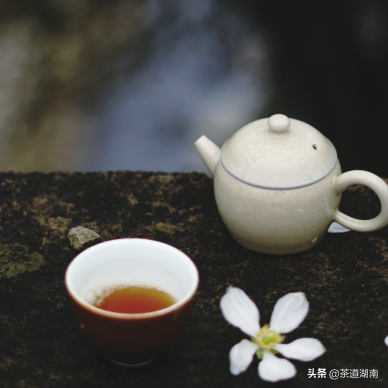 spring宋人有诗:"春茶自造始开尝,色味甘新气芬馥.