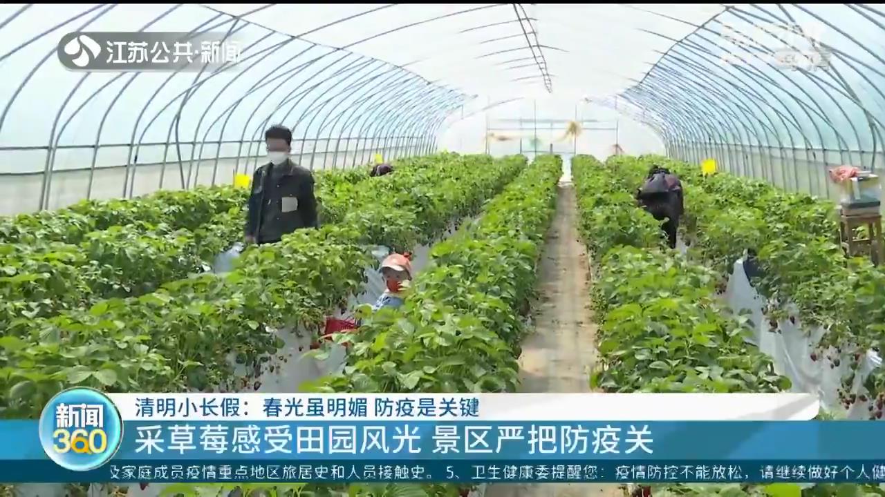 清明小长假：春光虽明媚 防疫是关键