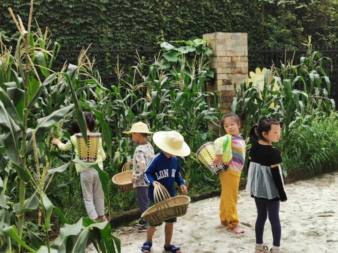 重庆园所文化建设丨沐光而行，心暖花开—重庆浩立阳光花园幼儿园