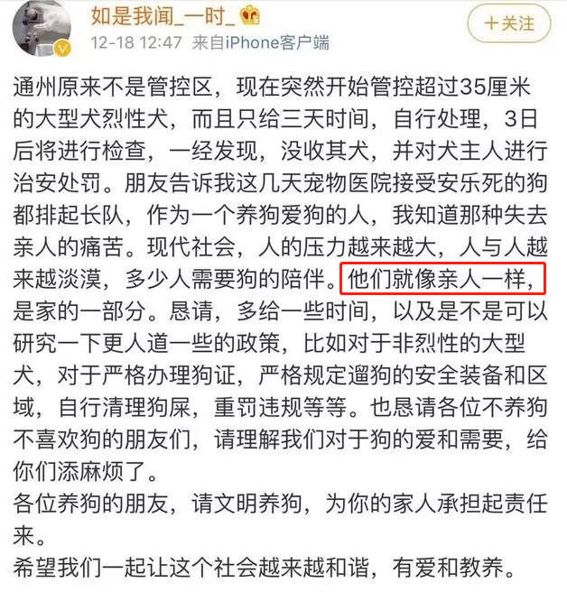 真没想到，这10对明星夫妇是丁克，有人养猫，有人把狗当亲人