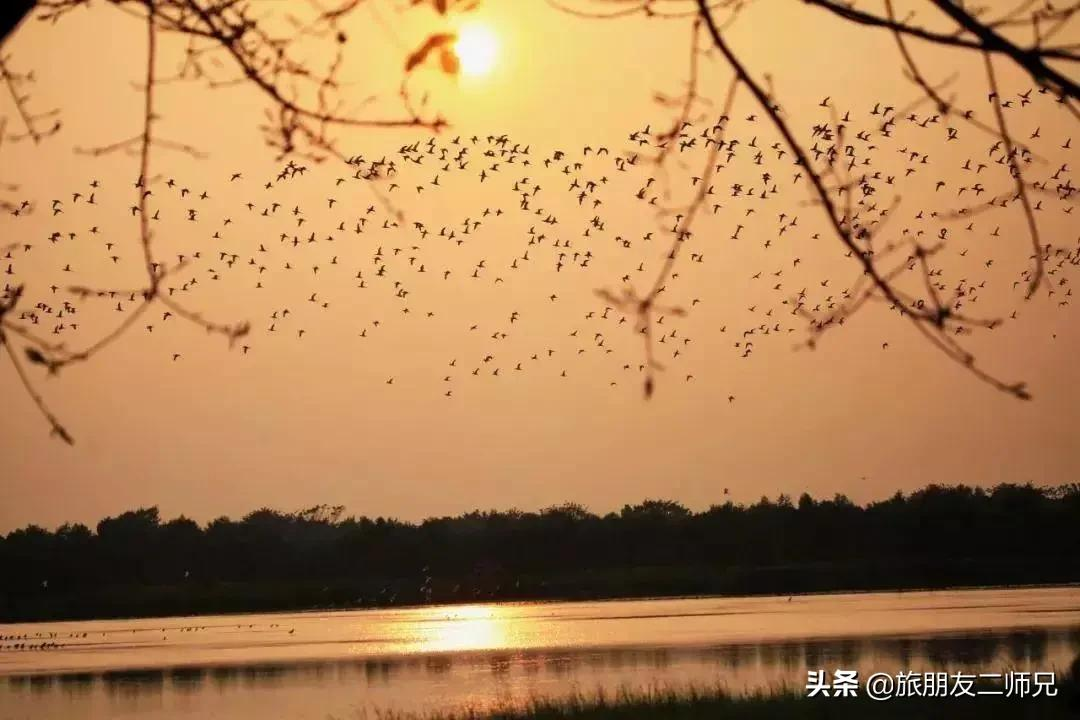 广州南沙湿地公园1天游，打卡十九涌渔家小镇