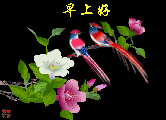星期二微信漂亮的鲜花早上好问候问候语图片 珍惜所拥有的就是幸福图片
