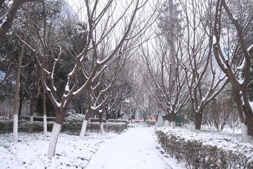 ����ĵ�һ������ѩ�������Ķ�����