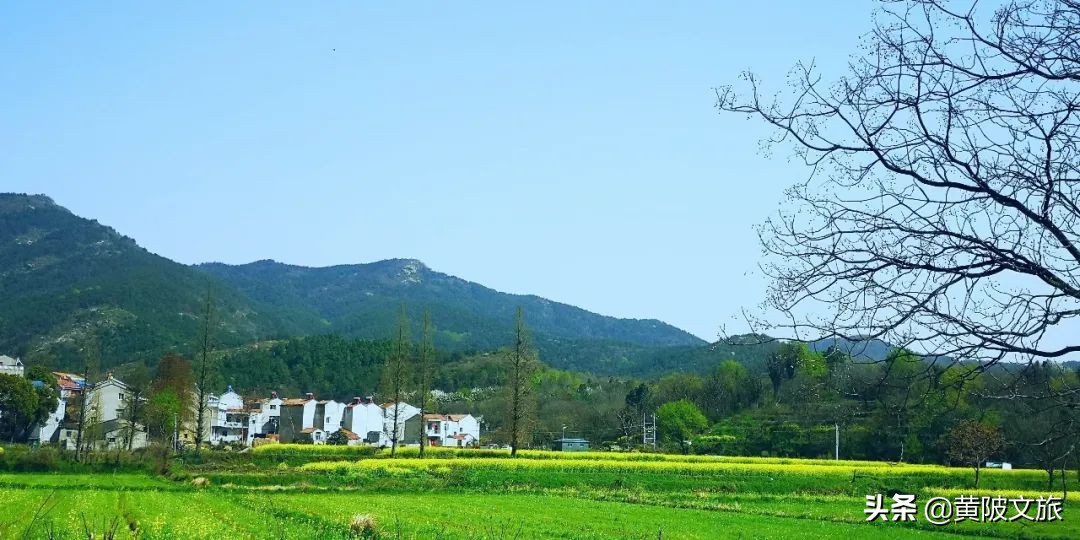 春满古村春风扬，悠悠春日百花香