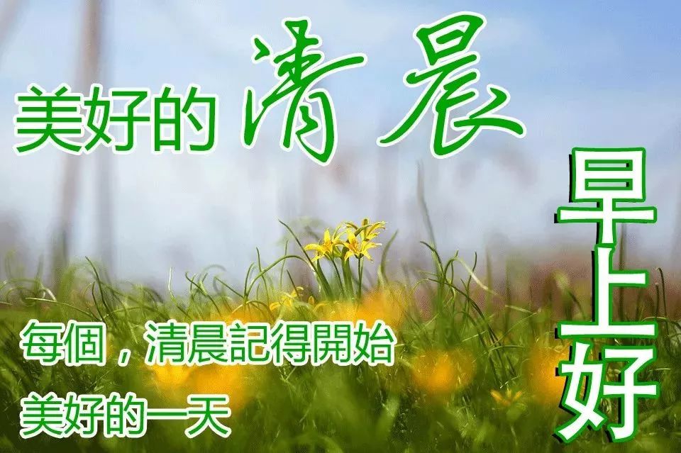 清晨问候大家早上好的动态图表情图片 幸福从早安开始图片