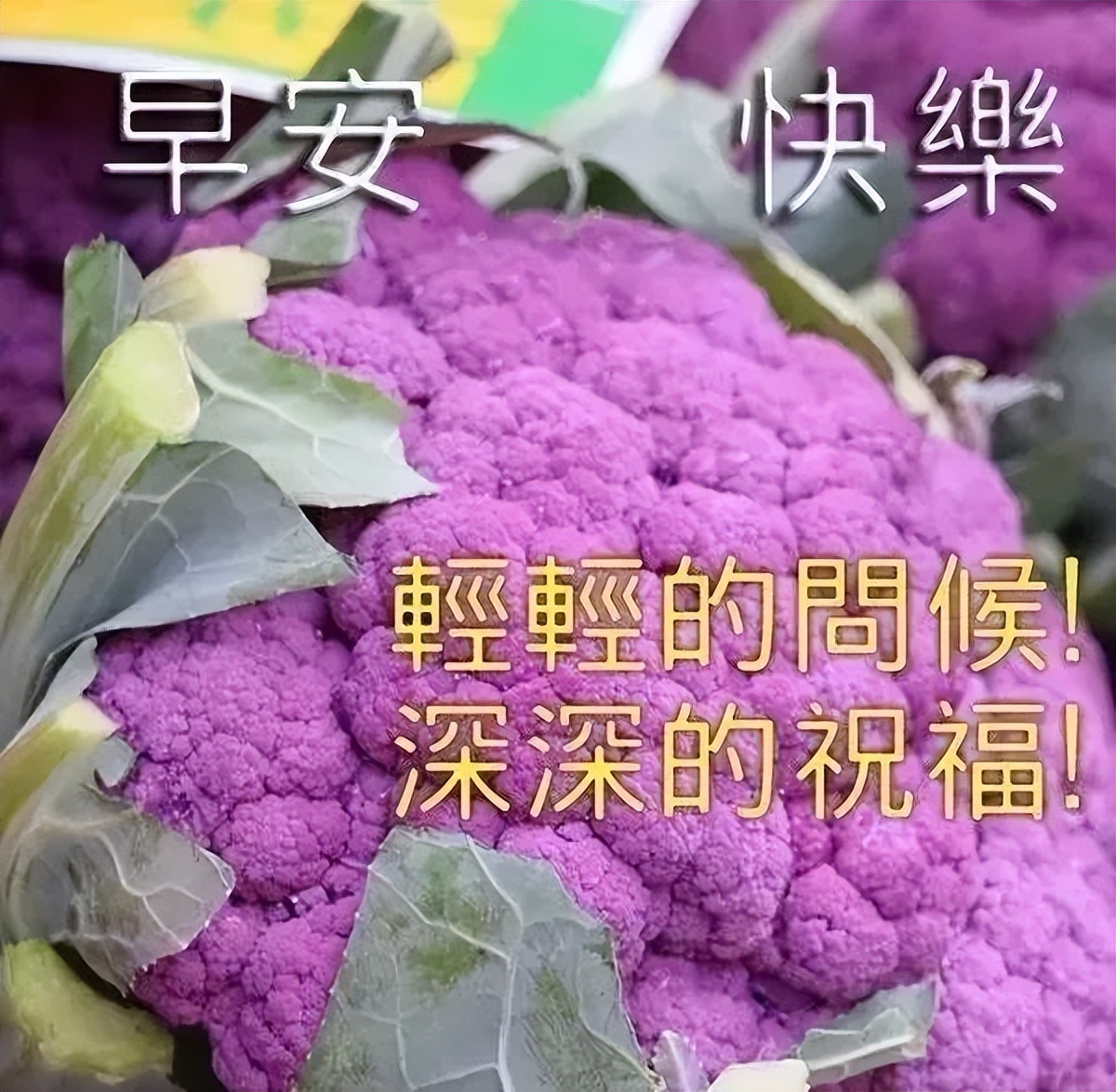 4月4日早上好表情图片，祝福问候永远在，真情永远，友谊天长地久图片