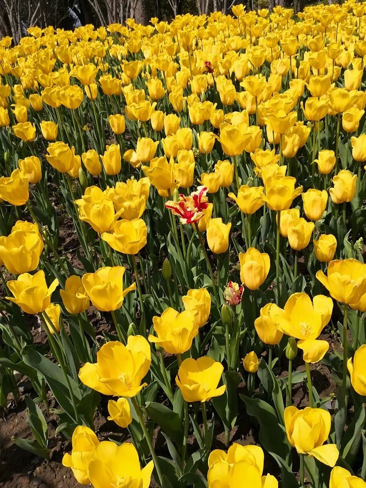 编程新手需要掌握的几种调试代码的简单方法