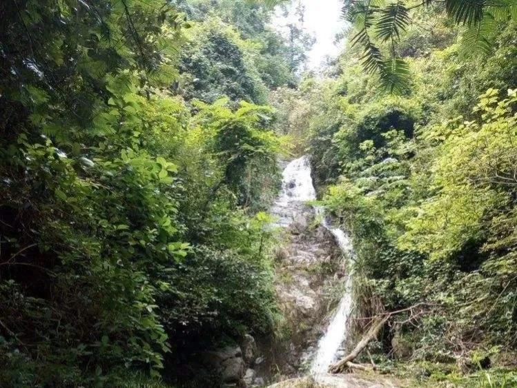 冬游宁都东韶 仰望凌云山 层层迷雾包裹着久远的历史传说