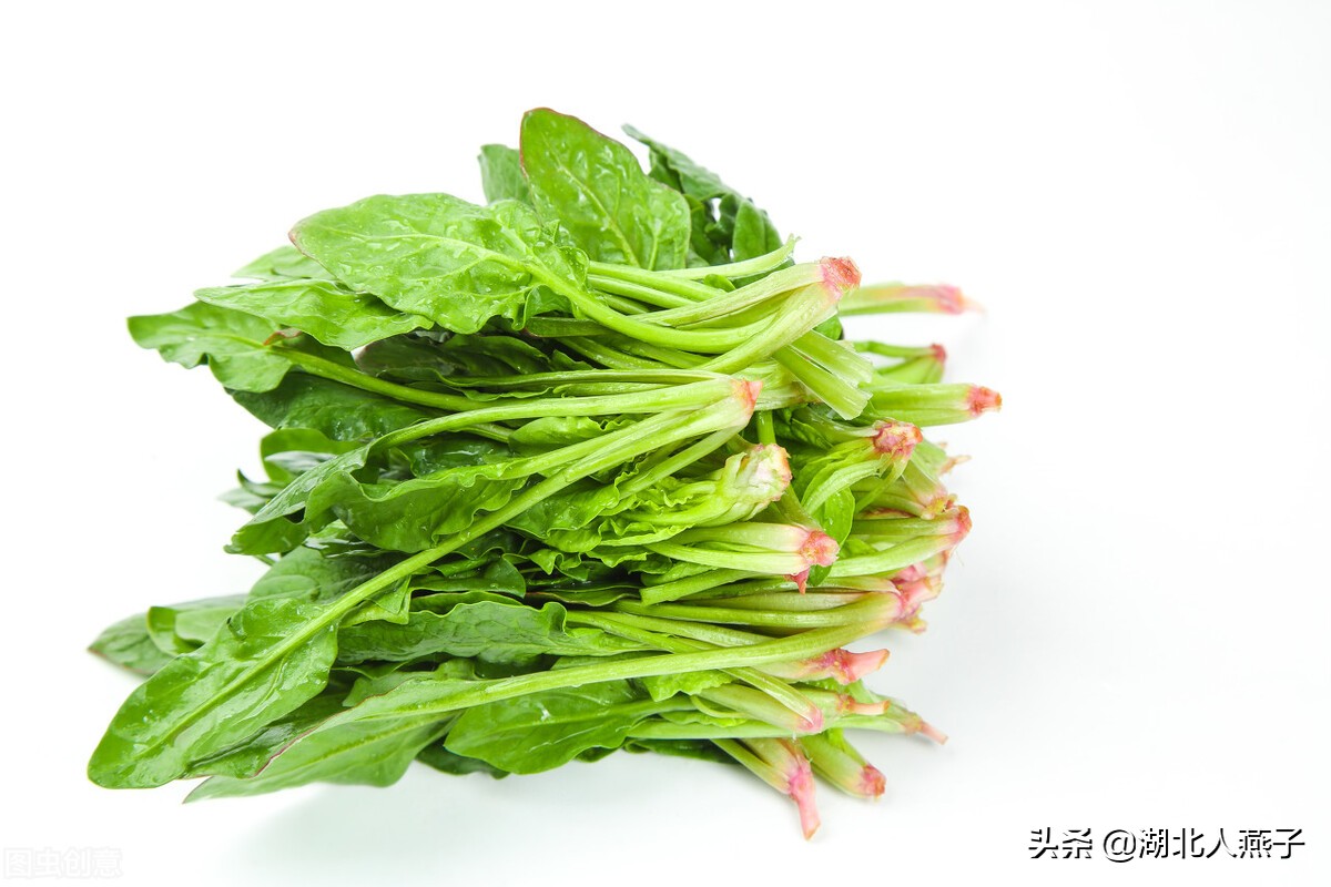 快开学了，多给孩子吃8种“护眼菜”，含大量叶黄素，营养又美味