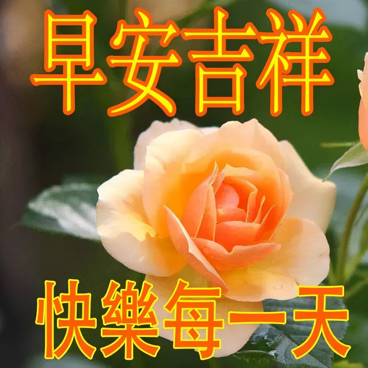 「2022.01.11」早安心语，正能量激励语录句子，冬季最美说说图片