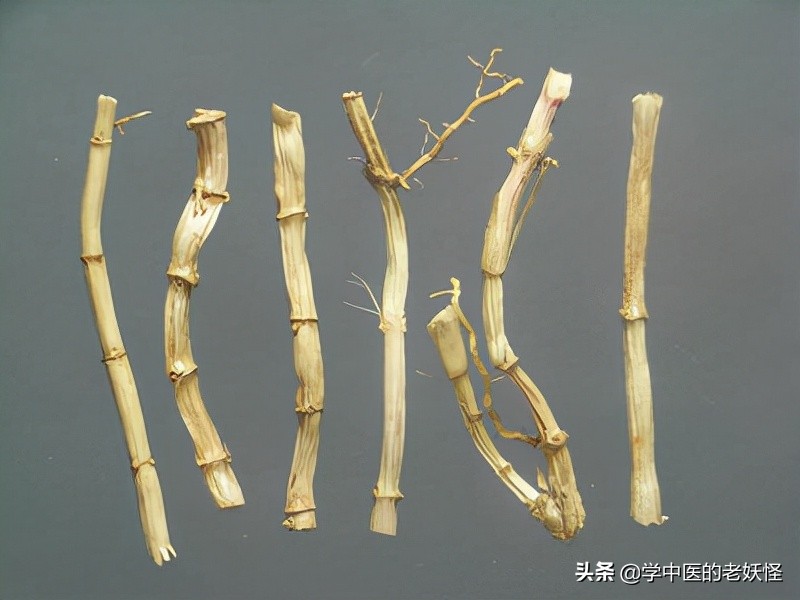 白茅根的功效与作用凉血止血清热利尿