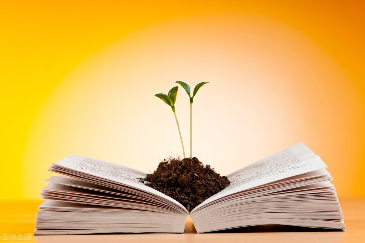 元宵节已至：新的一年，努力奋斗，财气满满