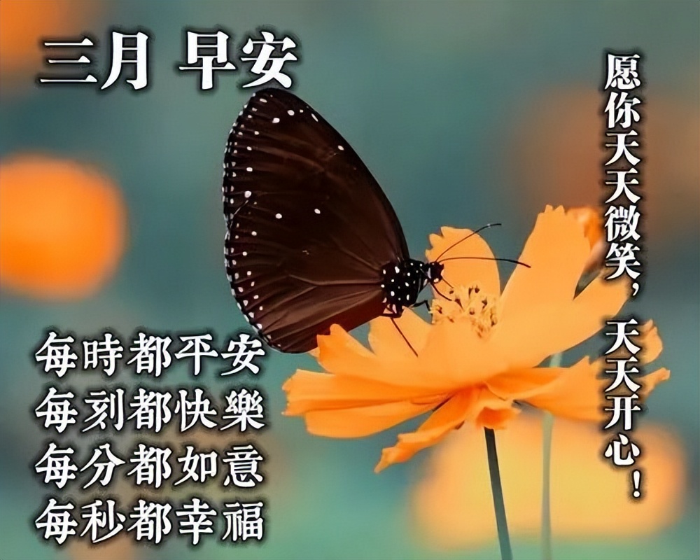 春天最新早上好图片带字大全 鲜花早上好问候语和关心话图片