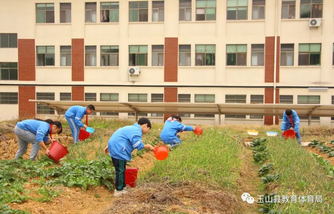 玉山县仙岩小学深入推进劳动教育实践活动纪实
