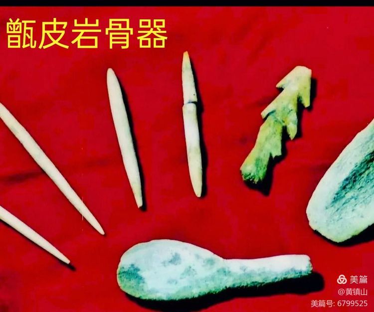 黄镇山：世界陶稻黍文明起源中国万年前