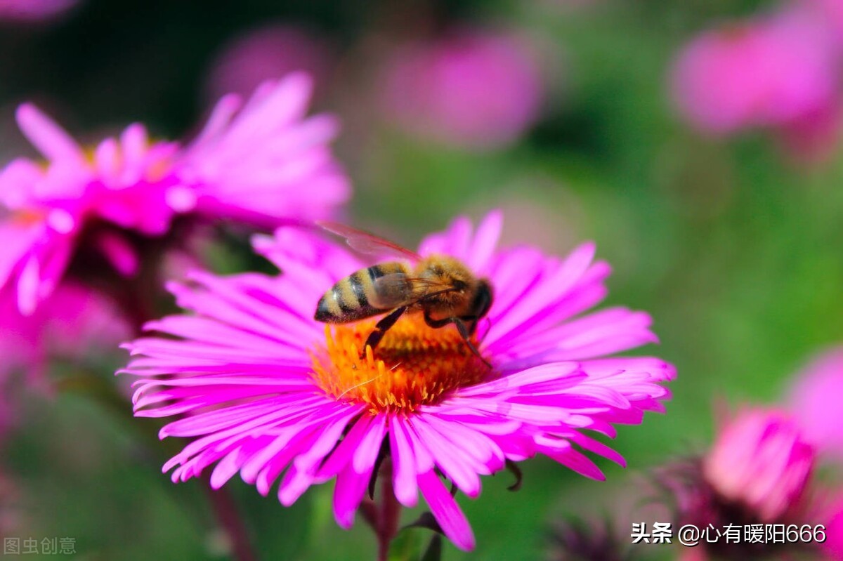 毁掉人一生的不是能力，而是放弃自省与行动的借口