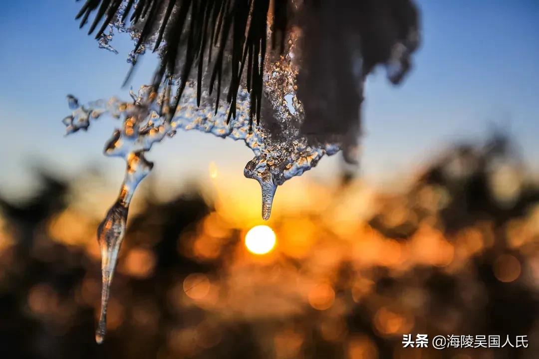 国学《山海经》东山三经——精精，一头牛长着马尾巴