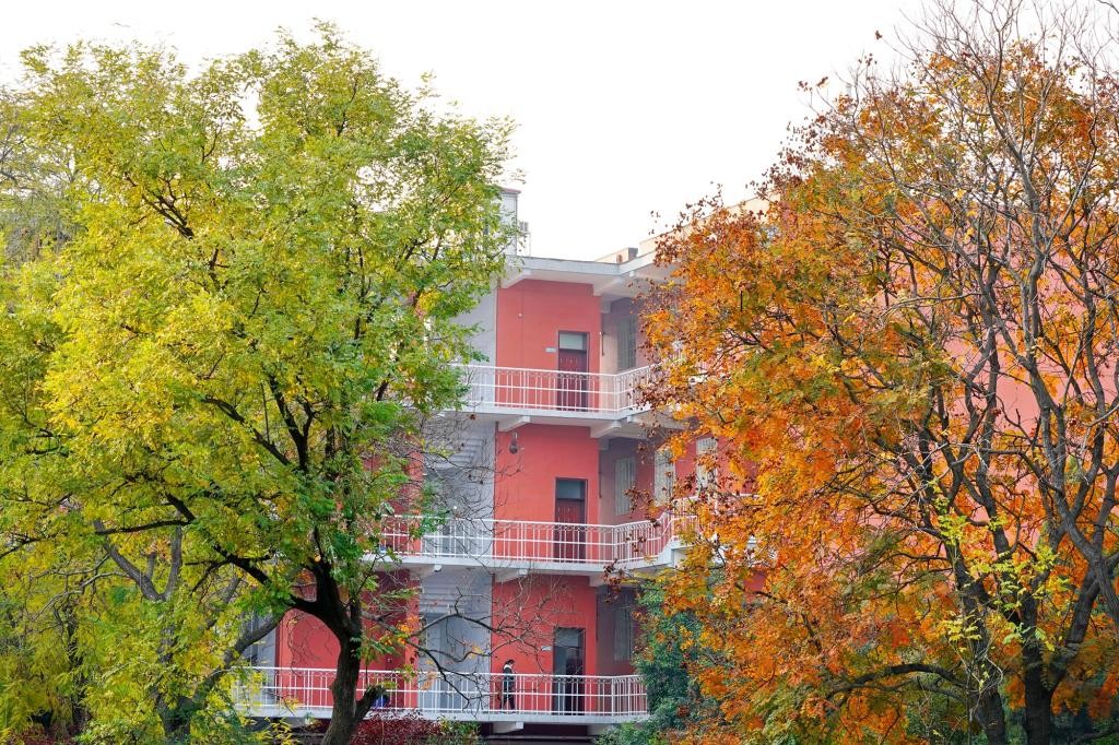 “男神女神”齐亮相！河南这2个宿舍，11人全部上岸，来自同一高校同一学院！