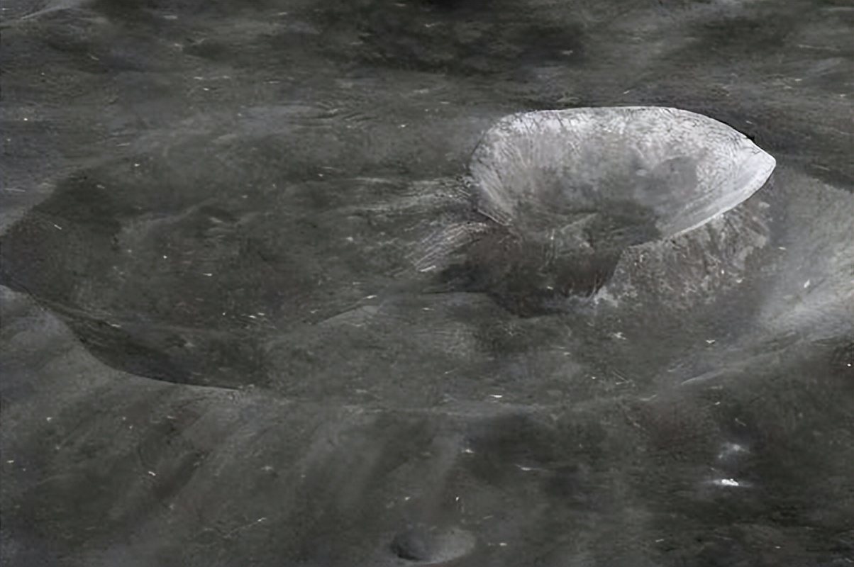 月球上嫦娥的死尸图片（月球发现的三眼女尸）-第3张图片