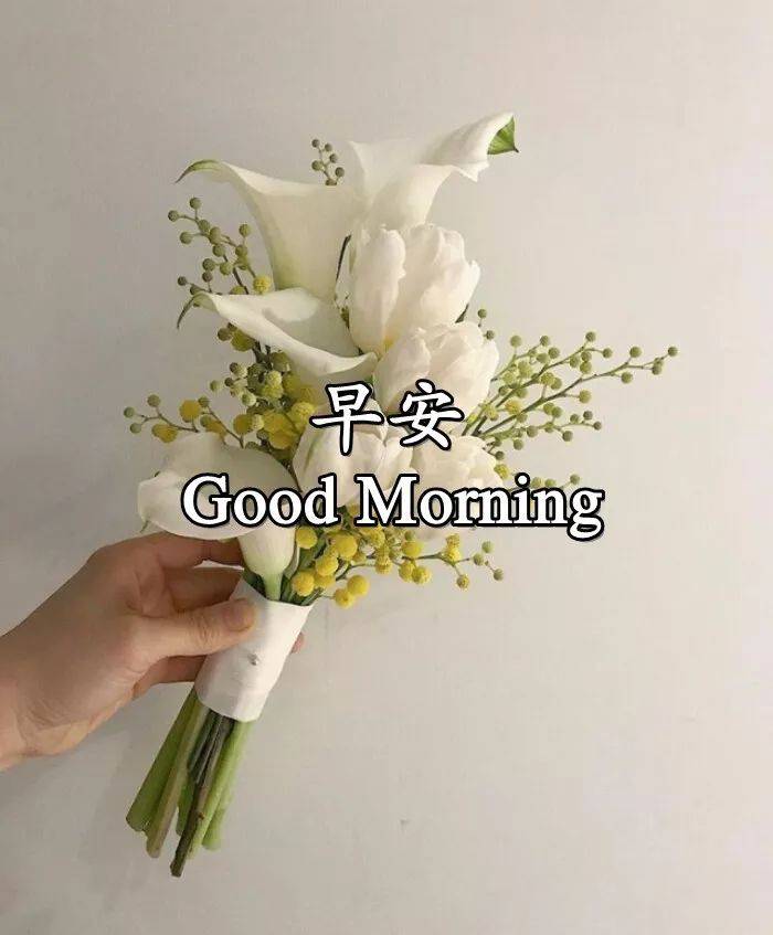 漂亮早上好图片 好看早上好表情包大全 人生知足，凡事都幸福图片