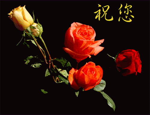 朋友圈里非常美丽的早安问候动态唯美图片 烦恼纠结看开就好图片
