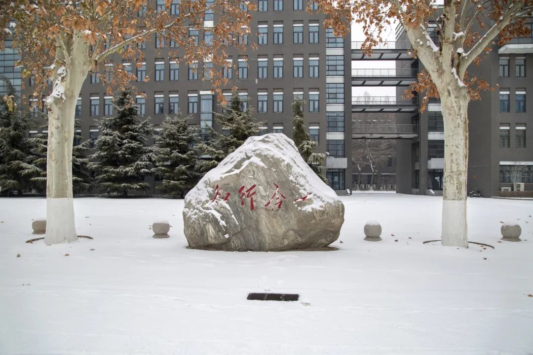 开年瑞雪，师大校园寂静如诗