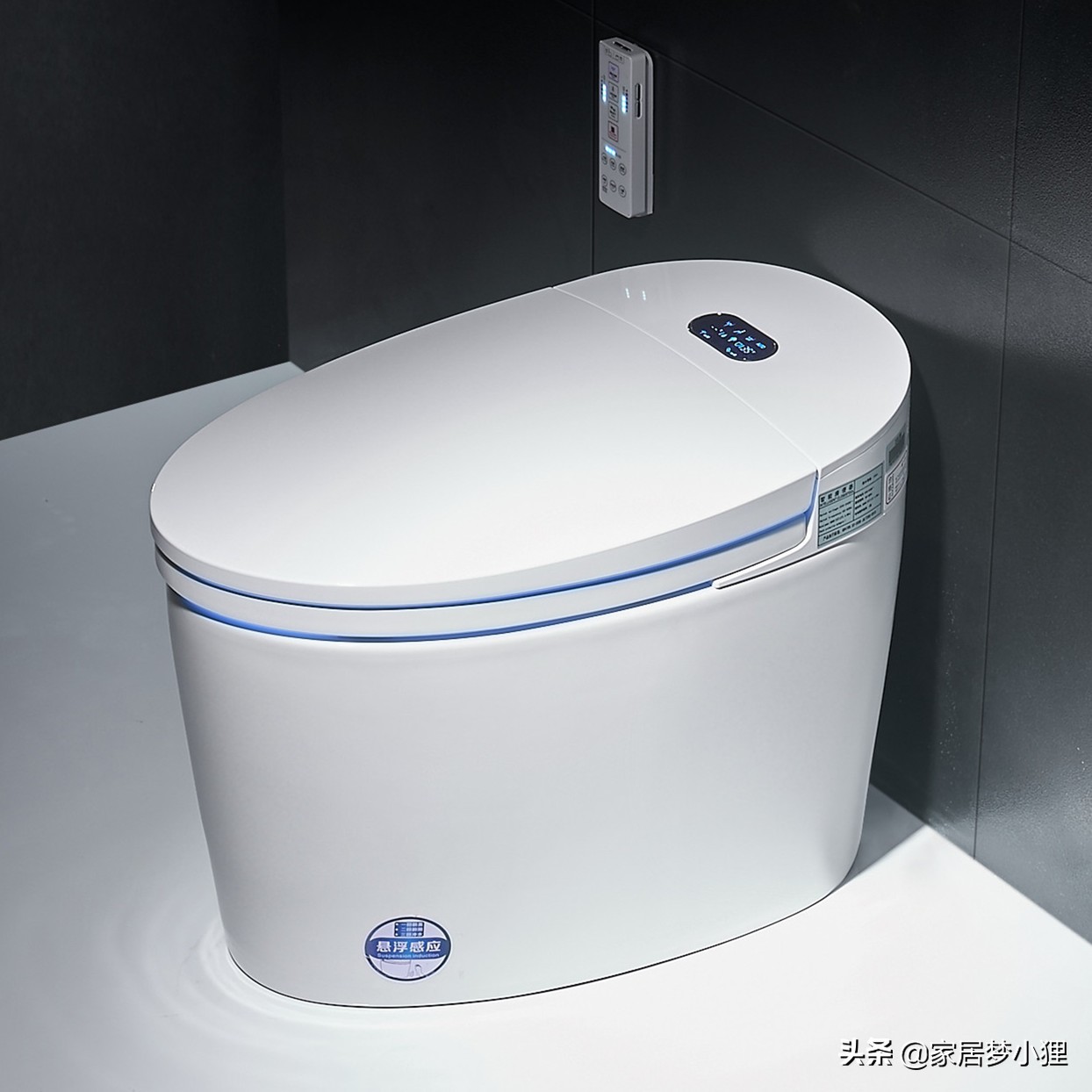 智能马桶怎么用(智能马桶停电不能冲水)