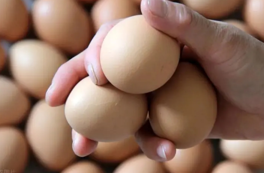 1974年，一个大学生主动退学申请传遍整个中国，周恩来特批同意