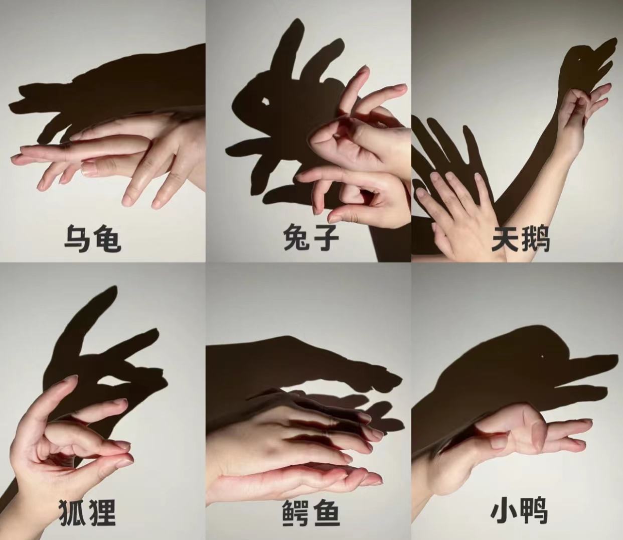 手影所以每次晚上睡觉的时候,都会给孩子表现手影,每次宝宝都非常