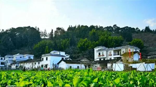 南平旅游必去十大景点推荐，广州八美景点不容错过