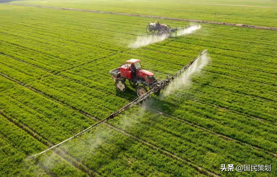 粮食危机？中国抓紧落实九个方面，给农民发放补贴，这样应对