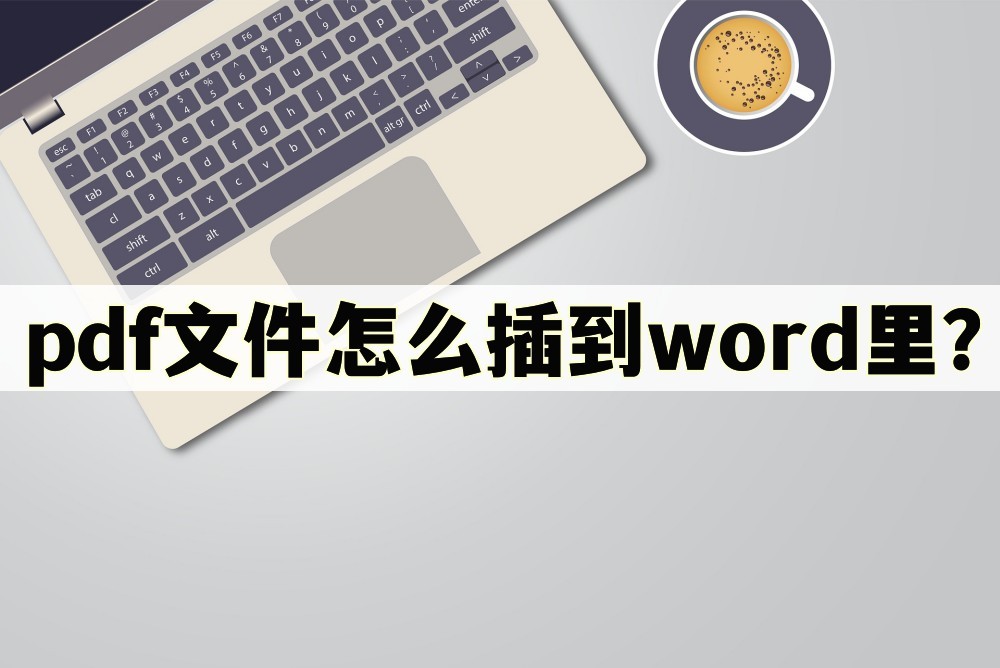 pdf文件怎么插到word里(word文档pdf怎么用)