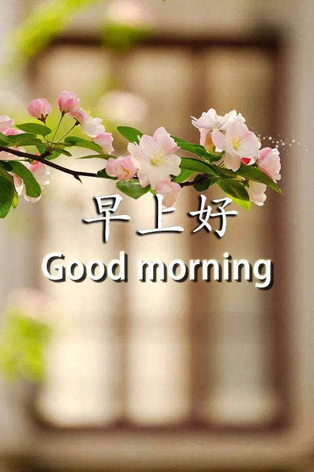星期一朋友圈的早安正能量动态图片 宅在家里不出门 少给国家添麻烦图片
