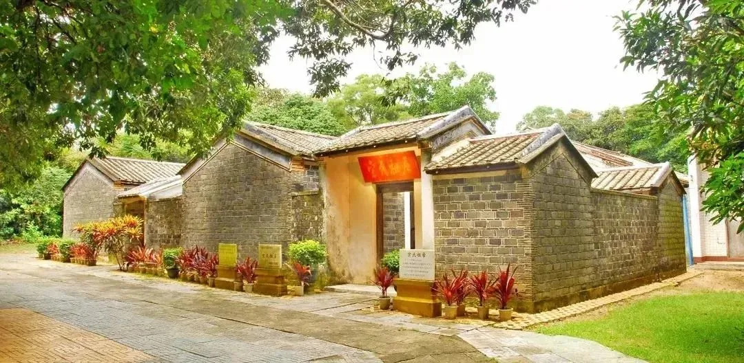 走,去海南过年去!撒网捕鱼、帆船体验、海鲜大餐,开心过大年
