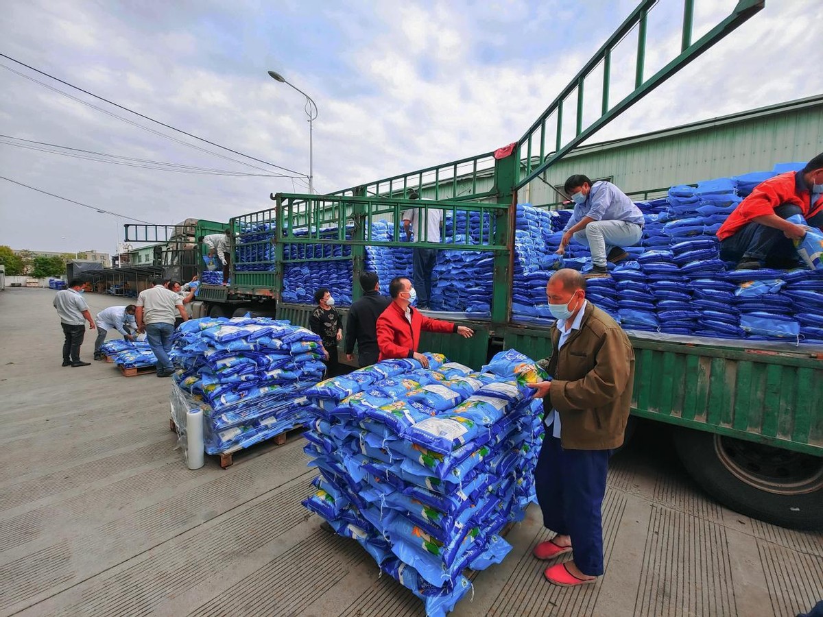 疫情当前同心守“沪”，全球家驰援上海抗疫